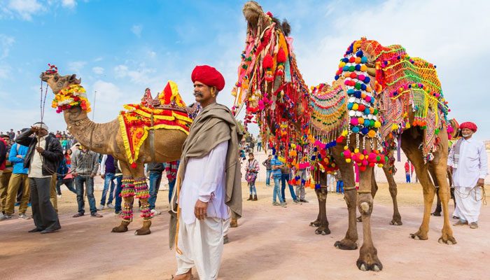 ಪ್ರವಾಸಿಗರನ್ನು ಕೈಬೀಸಿ ಕರೆಯುತ್ತಿದೆ ಒಂಟೆ ಮೇಳ – ಏನಿದರ ವಿಶೇಷತೆ ಗೊತ್ತಾ?