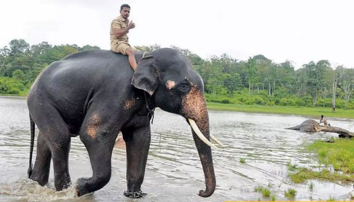 ಕರ್ನಾಟಕದ ಕ್ರಶ್ ತುಂಟ ಭೀಮ – ರೀಲ್ಸ್ ನಲ್ಲೂ ತಿಂಡಿಪೋತನ ಟ್ರೆಂಡ್