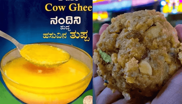 ತಿರುಪತಿಗೆ ನಂದಿನಿ ಬಿಟ್ರೆ ಬೇರೆ ಯಾವ ತುಪ್ಪವೂ ಬೇಡ! – ಟಿಟಿಡಿಯಿಂದ ಬರೋಬ್ಬರಿ 10 ಲಕ್ಷ ಕೆಜಿ ತುಪ್ಪಕ್ಕೆ ಡಿಮ್ಯಾಂಡ್‌