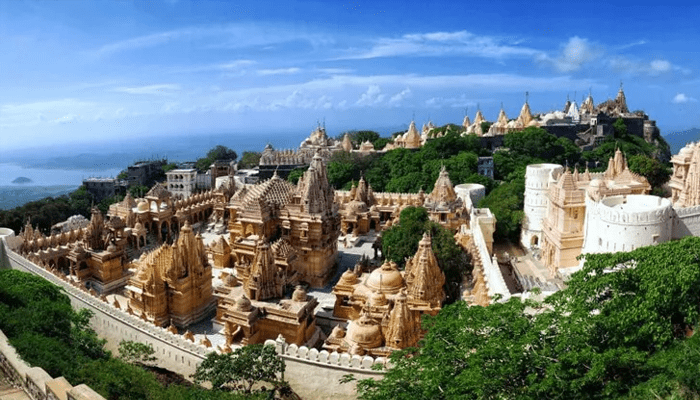 ಇದು ವಿಶ್ವದ ವೆಜ್ ಸಿಟಿ! – ನಾನ್ವೆಜ್ ತಿಂದ್ರೆ ಶಿಕ್ಷೆ ಫಿಕ್ಸ್!