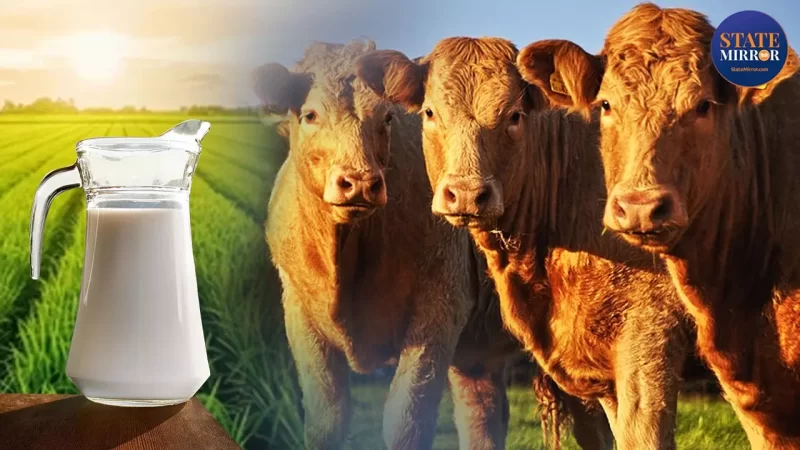 ನಾನ್ ವೆಜ್ ಹಾಲು ಕಳಿಸುತ್ತಾ ಅಮೆರಿಕ?  ಹಸುಗಳಿಂದ ನಾನ್ ವೆಜ್ ಹಾಲು ಹೇಗೆ?ಅಮೆರಿಕ ಹಾಲು ಬೇಡವೆಂದಿದ್ದೇಕೆ ಮೋದಿ?