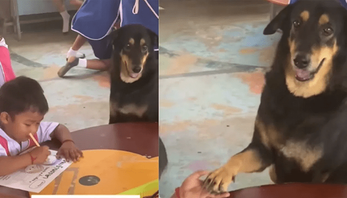 ಬಾಲಕನೊಂದಿಗೆ ಪಾಠ ಕೇಳಲು ಸ್ಕೂಲ್‌ಗೆ ಬಂದ ಶ್ವಾನ – ತರಗತಿಯಲ್ಲಿ ಏನಾಯ್ತು ಗೊತ್ತಾ?