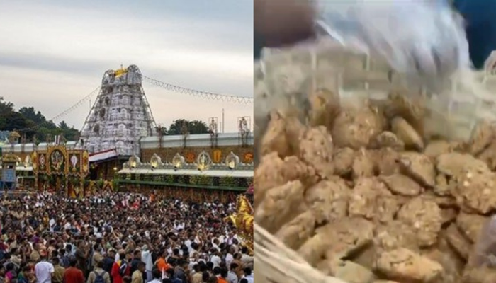 ತಿಮ್ಮಪ್ಪನ ಭಕ್ತರಿಗೆ ಅನ್ನಪ್ರಸಾದದಲ್ಲಿ ಸಿಗಲಿದೆ ರುಚಿಕರ ವಡೆ- ಪ್ರತಿದಿನ 35 ಸಾವಿರ ಮಸಾಲಾ ವಡೆ ರೆಡಿ