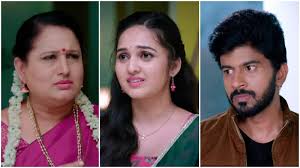 ಕರಿಮಣಿ ಸೀರಿಯಲ್ ದಿಢೀರ್ ಮುಕ್ತಾಯ – ಕೊನೆಯ ದಿನದ ಸಂಚಿಕೆಯಲ್ಲಿ ಏನಾಗಲಿದೆ?