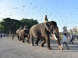 ನಾಡಹಬ್ಬಕ್ಕೆ ಗಜಪಡೆ ಲಿಸ್ಟ್ ರೆಡಿ – ಆಗಸ್ಟ್ 4 ರಂದು ದಸರಾ ಗಜಪಯಣ ಆರಂಭ