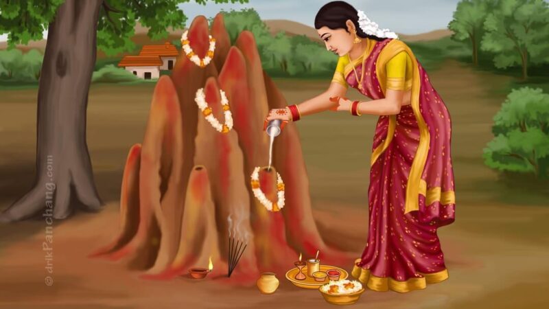 ಎಲ್ಲೆಡೆ ನಾಗರ ಪಂಚಮಿ ಹಬ್ಬದ ಸಂಭ್ರಮ – ದೇವಸ್ಥಾನಗಳಲ್ಲಿ ವಿಶೇಷ ಪೂಜೆ