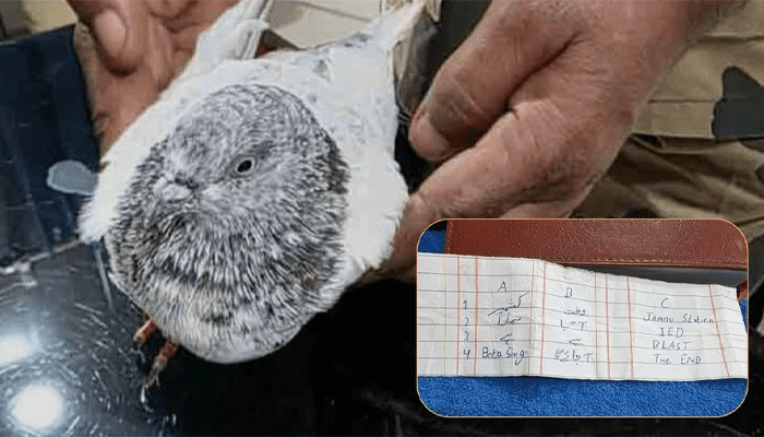 ಜಮ್ಮು ರೈಲು ನಿಲ್ದಾಣ ಸ್ಫೋಟಿಸುವುದಾಗಿ ಪಾರಿವಾಳ ಮೂಲಕ ಸಂದೇಶ ಕಳುಹಿಸಿದ ಪಾಕ್!‌