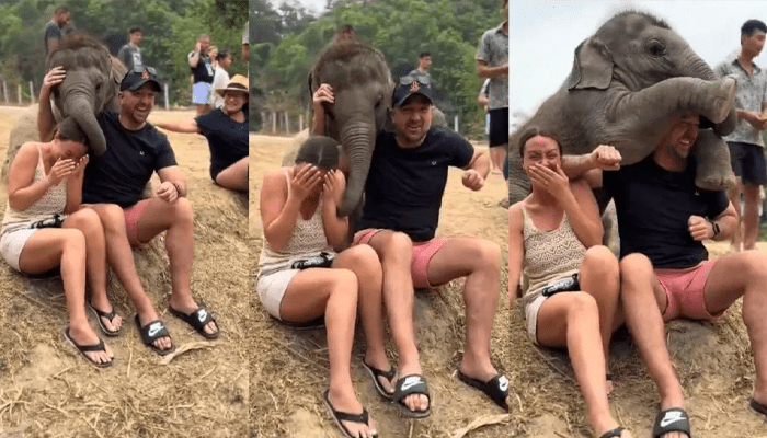 ಆಹಾ.. ಅಪ್ಪುಗೆ ಎಷ್ಟು ಚೆಂದ..! – ದಂಪತಿಯನ್ನ ಗಟ್ಟಿಯಾಗಿ ತಬ್ಬಿಕೊಂಡ ಮರಿಯಾನೆ!