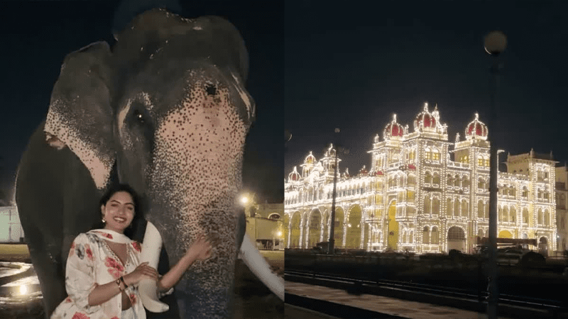 ದಸರಾ ಆನೆಗಳ ಜೊತೆ ಯುವತಿಯ ರೀಲ್ಸ್‌ – ಅಧಿಕಾರಿಗಳಿಗೆ ನೋಟಿಸ್‌, ರೀಲ್ಸ್‌ ಲೇಡಿಗೆ ದಂಡ!