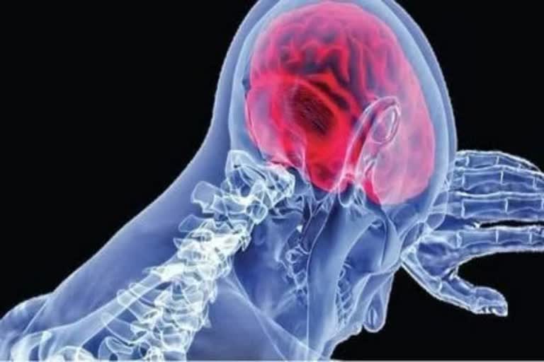 ಮೆದುಳು ತಿನ್ನುವ ಸೋಂಕಿಗೆ ಕೇರಳದಲ್ಲಿ 6ನೇ ಬಲಿ – ಏನಿದು ಮೆದುಳು ತಿನ್ನುವ ಅಮೀಬಾ ಸೋಂಕು?