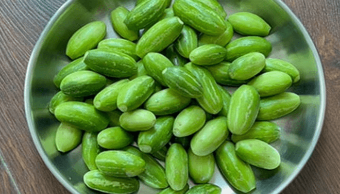 ಶುಗರ್‌ ನಿಯಂತ್ರಣಕ್ಕೆ ಈ ತರಕಾರಿ ಬೆಸ್ಟ್!‌ – ರಾತ್ರಿ ಊಟದ ಜೊತೆ ತೊಂಡೆಕಾಯಿ ತಿಂದ್ರೆ ಏನೆಲ್ಲಾ ಪ್ರಯೋಜನ?