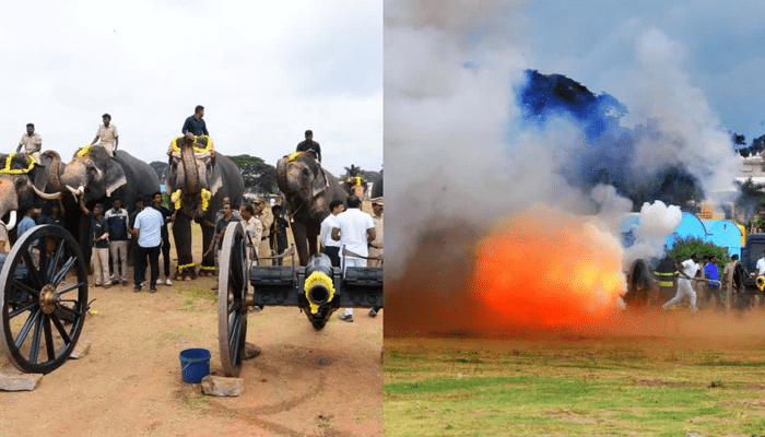 ಮೈಸೂರು ದಸರಾ ಸಿಡಿಮದ್ದು ತಾಲೀಮು ಶುರು – ಸಿಡಿಮದ್ದಿನ ಶಬ್ದಕ್ಕೆ ವಿಚಲಿತಗೊಂಡ ಗಜಪಡೆ, ಕುದುರೆಗಳು!
