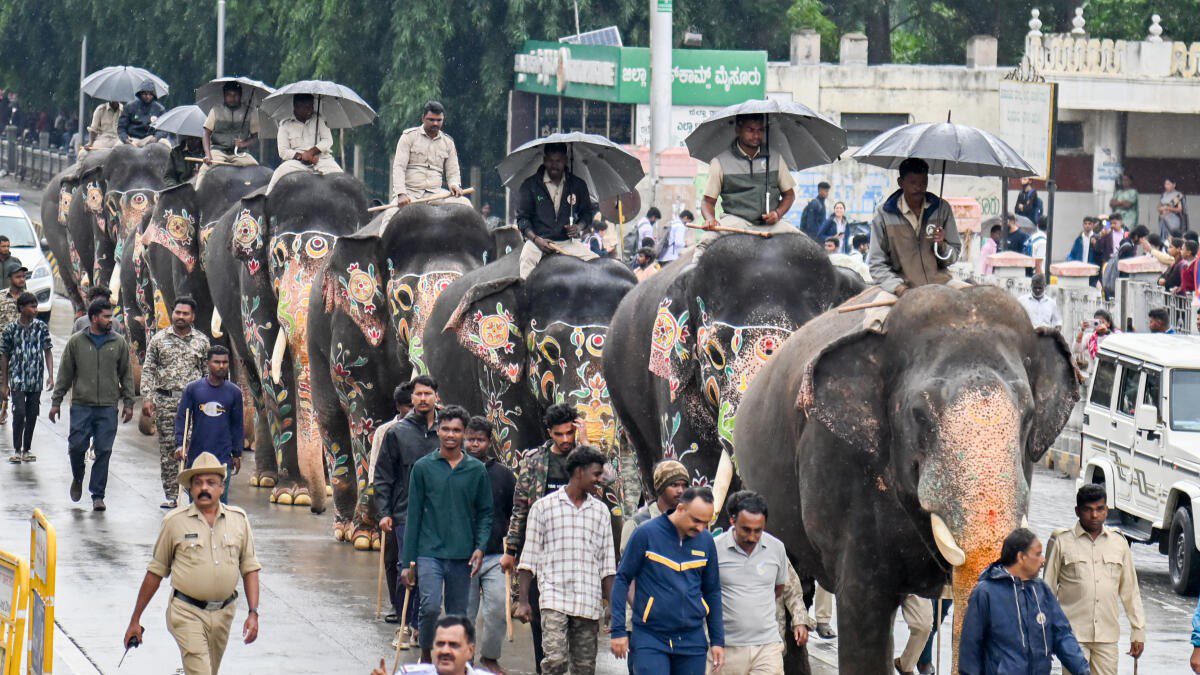 ಅಭಿಮನ್ಯು ಶಾಂತ.. ಭೀಮ ತಿಂಡಿಪೋತ – ಸರ್ಕಸ್ ಸಂಕಟ ತಪ್ಪಿಸಿ ಈಗ ರಾಜಾತಿಥ್ಯದಸರೆಯ 14 ಆನೆಗಳ ರೋಚಕ ಕಥೆ