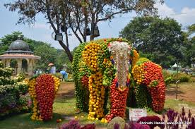 ಹೂವುಗಳಿಂದ ಅರಳಲಿದೆ ದಸರಾ ಜಂಬೂ ಸವಾರಿ – ಮೈಸೂರಲ್ಲಿ ನಾಡಹಬ್ಬಕ್ಕೆ ಕಳೆ ನೀಡಲಿದೆ ಫ್ಲವರ್ ಶೋ