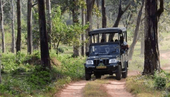 ಪ್ರವಾಸಿಗರೇ ಗಮನಿಸಿ.. ನಾಗರಹೊಳೆ, ಬಂಡೀಪುರ ಸಫಾರಿಯಲ್ಲಿ ಮಹತ್ವದ ಬದಲಾವಣೆ!