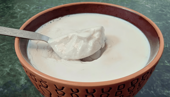 ಈ ಹೊತ್ತಲ್ಲಿ ಮೊಸರು ತಿನ್ನುವುದು ಡೇಂಜರ್‌! – ಆರೋಗ್ಯ ಲಾಭಕ್ಕಿಂತ ನಷ್ಟವೇ ಹೆಚ್ಚು!