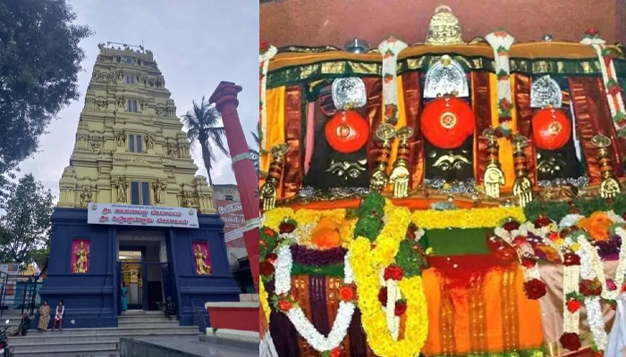 ಭಕ್ತರಿಗೆ ದರುಶನ ನೀಡಲಿದ್ದಾಳೆ ಶಕ್ತಿ ಸ್ವರೂಪಿಣಿ ಹಾಸನಾಂಬೆ – ಹಾಸನಾಂಬ ದರ್ಶನೋತ್ಸವಕ್ಕೆ ಕ್ಷಣಗಣನೆ ಆರಂಭ