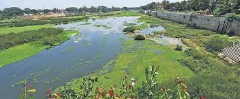 ಕಾವೇರಿ, ಕೃಷ್ಣಾನದಿ ಜೀವ ಜಲ ಆಗಿ ಉಳಿದಿಲ್ಲ – 12 ನದಿಗಳ ನೀರು ಕುಡಿಯಲು ಯೋಗ್ಯವಿಲ್ಲ..!