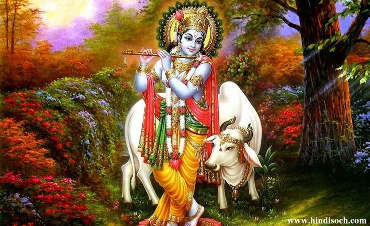 ನಿಮ್ಮ ಪೂಜೆಗೆ ಶ್ರೀಕೃಷ್ಣ ನಿಮಗೆ ಒಲಿಯಬೇಕೇ.? –  ಪ್ರತಿದಿನ  ಬೆಳಗ್ಗೆ  ಈ ಕೆಲಸ ಮಾಡಿ.!