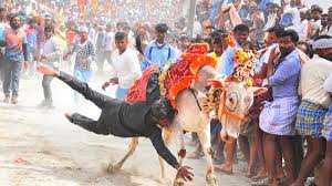 ಹಾವೇರಿಯಲ್ಲಿ ಹೋರಿ ಓಟದ ಸ್ಪರ್ಧೆಯಲ್ಲಿ ದುರಂತ – ಜಿಲ್ಲೆಯ ಬೇರೆ ಬೇರೆ ಸ್ಥಳದಲ್ಲಿಒಟ್ಟು 3 ಬಲಿ