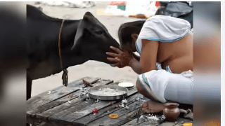 ಮಂಗಳವಾರ ಸಂಜೆ ಹೀಗೆ ಮಾಡಿದರೆ ನಿಮ್ಮ ಕಷ್ಟಗಳೆಲ್ಲಾ ಮಾಯ