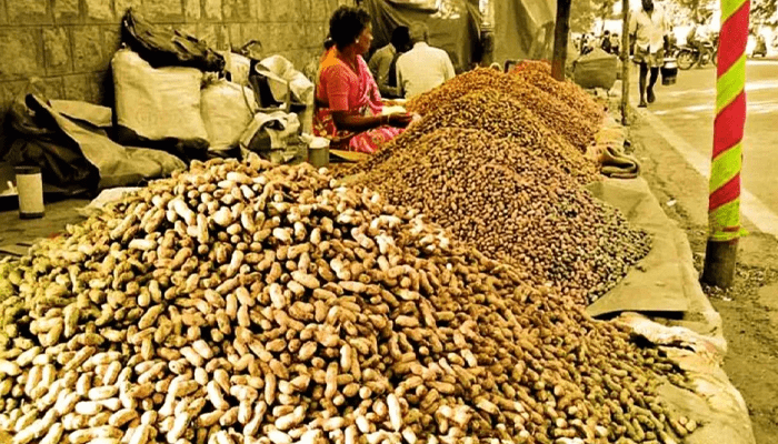 ಬಸವನಗುಡಿ ಕಡಲೆಕಾಯಿ ಪರಿಷೆಗೆ ಸಿದ್ಧತೆ – ಮೊದಲ ಬಾರಿಗೆ 5 ದಿನ ನಡೆಯಲಿದೆ ಜಾತ್ರೆ