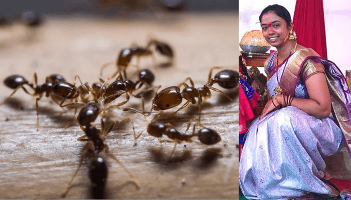 ಇರುವೆಗೆ ಹೆದರಿ ಮಹಿಳೆ ಆತ್ಮಹ*ತ್ಯೆ! – ಮಹಿಳೆ ಬರೆದ ಪತ್ರದಲ್ಲಿತ್ತು ಶಾಕಿಂಗ್‌ ವಿಚಾರ!