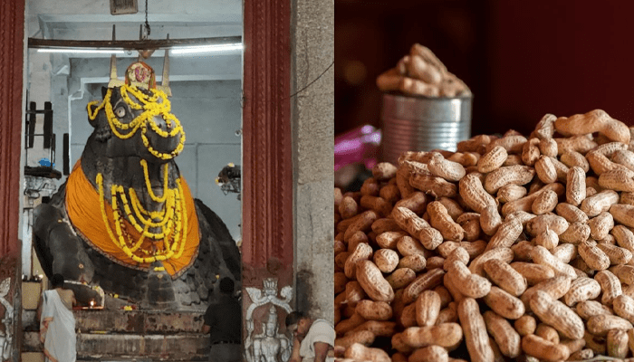 ಬಸವನಗುಡಿ ಕಡಲೆಕಾಯಿ ಪರಿಷೆಯಲ್ಲಿ ಈ ತಪ್ಪು ಮಾಡಿದ್ರೆ 2,000 ರೂಪಾಯಿ ಫೈನ್!‌