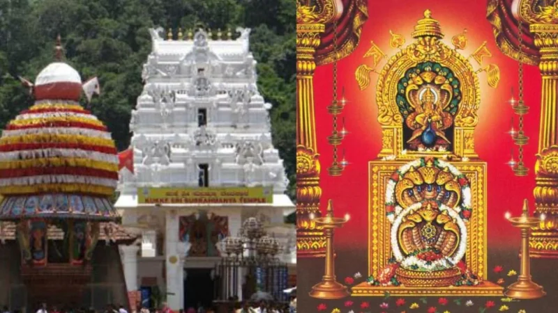 ಇಂದು ಚಂಪಾ ಷಷ್ಠಿ ಸಂಭ್ರಮ –  ಸುಬ್ರಹ್ಮಣ್ಯ ಸ್ವಾಮಿ ದೇವಾಲಯಗಳಲ್ಲಿ ವಿಶೇಷ ಸೇವೆ–ಪೂಜೆ