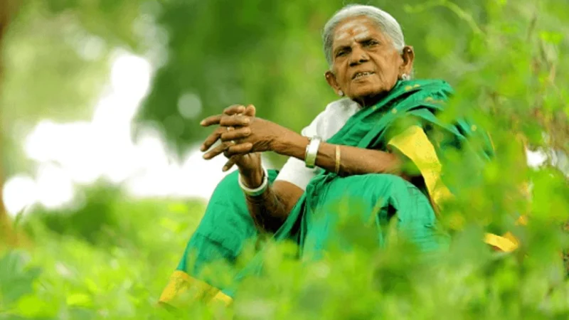 ವೃಕ್ಷಮಾತೆ ಸಾಲು ಮರದ ತಿಮ್ಮಕ್ಕ ಇನ್ನಿಲ್ಲ – ವಯೋಸಹಜ ಕಾಯಿಲೆಯಿಂದ ವಿಧಿವಶ