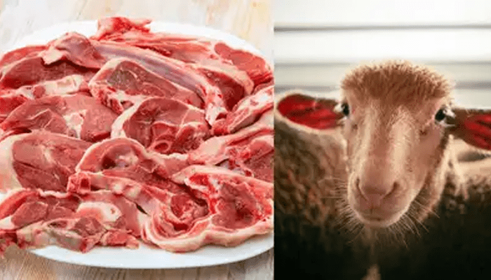 ಮೈ ನಡುಗಿಸುವ ಚಳಿಯಲ್ಲೂ ಕೈ ಸುಡುತ್ತಿದೆ ಮಟನ್ ದರ! – ಹೊಸ ವರ್ಷದ ಹೊಸ್ತಿಲಲ್ಲಿ ಮಾಂಸಪ್ರಿಯರಿಗೆ ಶಾಕ್!‌