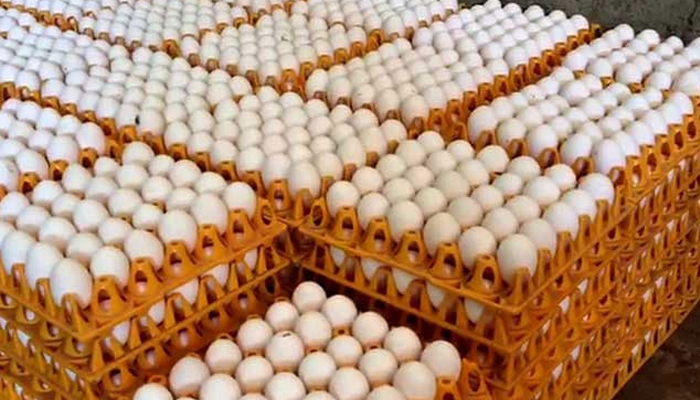 ಮೊಟ್ಟೆಯಲ್ಲಿ ಕ್ಯಾನ್ಸರ್‌ಕಾರಕ ಅಂಶ – ಖಾಸಗಿ ಲ್ಯಾಬ್‌ನಲ್ಲಿ ಮೊಟ್ಟೆ ಟೆಸ್ಟ್‌ಗೆ ರಾಜ್ಯ ಸರ್ಕಾರ ಅದೇಶ