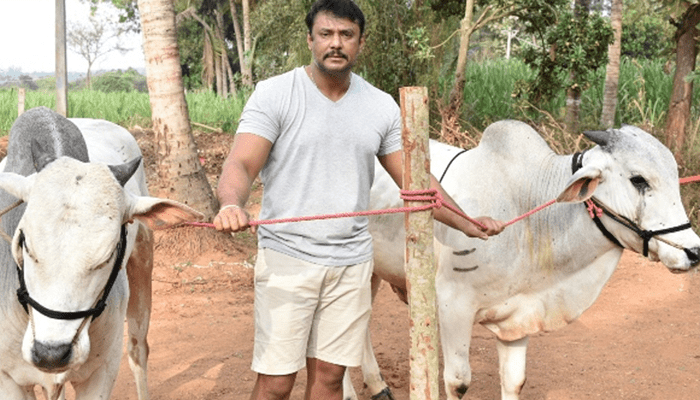 ಜೈಲಿನಲ್ಲಿರುವ ದಾಸನಿಗೆ ಶಾಕ್‌ ಕೊಟ್ಟ IT ಅಧಿಕಾರಿಗಳು! – ದರ್ಶನ್‌ಗೆ 82 ಲಕ್ಷ ಹಣ ಫ್ಯಾನ್ಸ್‌ ಕೊಟ್ಟಿದ್ದಾ?  