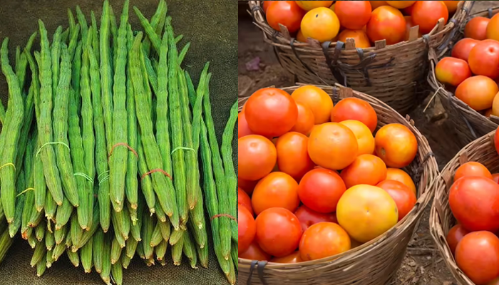 ಕಾಯಿ, ಕಾಯಿ ನುಗ್ಗೆಕಾಯಿ ಸಿಕ್ಕಾಪಟ್ಟೆ ಕಾಸ್ಟ್ಲಿ! – ನುಗ್ಗೆಕಾಯಿ, ಟೊಮ್ಯಾಟೋ ಬೆಲೆ ದುಬಾರಿ!