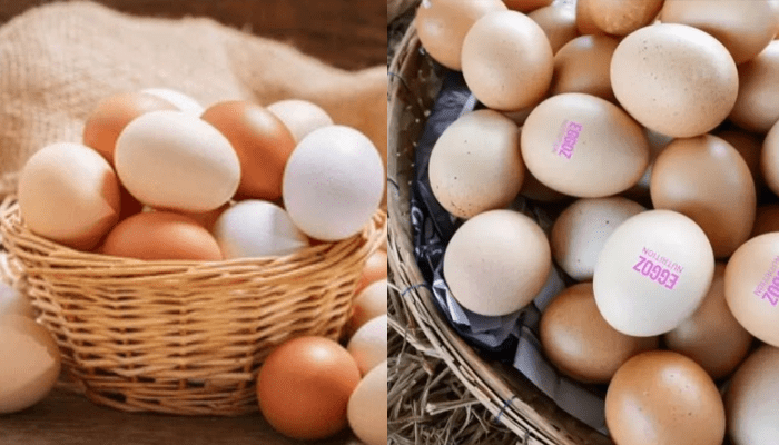 ಮೊಟ್ಟೆ ಪ್ರೋಟಿನ್‌ ಅಲ್ಲ.. ಕ್ಯಾನ್ಸರ್‌ ಮೂಲ!? – ಮೊಟ್ಟೆ ಟೆಸ್ಟ್‌ಗೆ ಆರೋಗ್ಯ ಇಲಾಖೆ ಸೂಚನೆ!