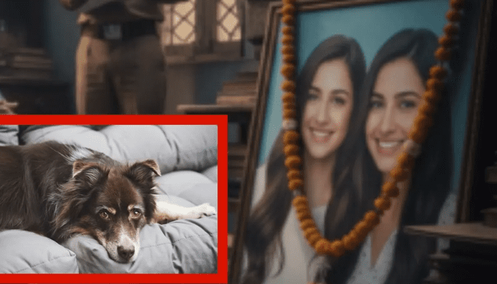 ನಾಯಿಗೆ ಹುಷಾರಿಲ್ಲ ಎಂದು ಪ್ರಾಣಬಿಟ್ಟ ಸಹೋದರಿಯರು! – ಅಷ್ಟಕ್ಕೂ ಆಗಿದ್ದೇನು?