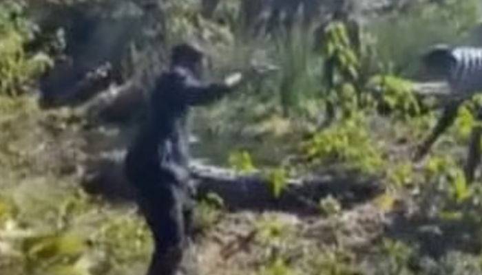 ರೀಲ್ಸ್‌ಗಾಗಿ ಮೊಸಳೆ ಬಾಲ ಎಳೆದ ಯುವಕರು! – ಆಮೇಲೆ ಏನಾಯ್ತು ಗೊತ್ತಾ?