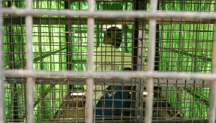 ಅಯ್ಯಯ್ಯೋ.. ಚಿರತೆ ಸೆರೆಗೆ ಇಟ್ಟಿದ್ದ ಬೋನಿನೊಳಗೆ 3 ಗಂಟೆ ಲಾಕ್‌ ಆದ ರೈತ!  