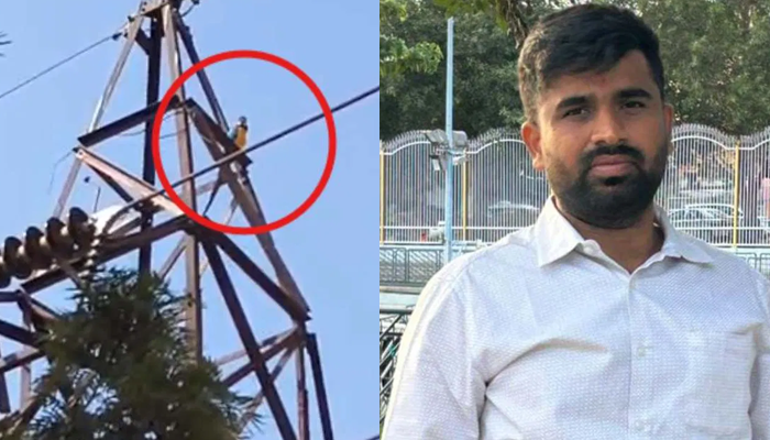 ಯುವಕನ ಪಾಲಿಗೆ ಯಮನಾದ ಫಾರಿನ್‌ ಗಿಳಿ! – ಪ್ರಾಣ ಉಳಿಸಲು ಹೋದಾತ ದುರಂತ ಅಂತ್ಯ!