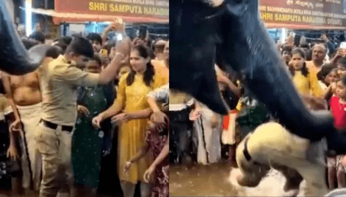 ಸೈಡಿಗೆ ಹೋಗು.. ನಾನು ಆಟ ಆಡ್ಬೇಕು! – ಕುಕ್ಕೆ ಸುಬ್ರಹ್ಮಣ್ಯ ದೇಗುಲದಲ್ಲಿ ಯಶಸ್ವಿನಿಯ ಹುಸಿಮುನಿಸು!