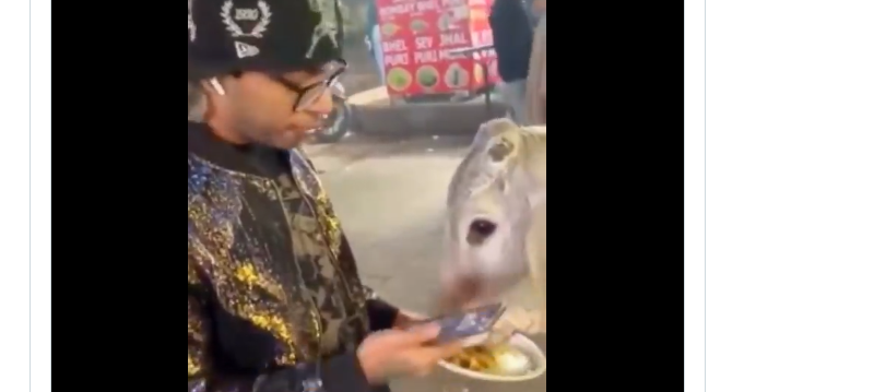 ರೀಲ್ಸ್ ಹುಚ್ಚಿಗೆ ಹಸುವಿಗೆ ಚಿಕನ್‌  ತಿನ್ನಿಸಿದ ಪಾಪಿ – ಹಿಂದೂ ಸಂಘಟನೆ ರೀವೆಂಜ್ ಹೇಗಿತ್ತು ಗೊತ್ತಾ?