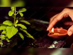 ವಿಷ್ಣು ಹಾಗೂ ಲಕ್ಷ್ಮಿ ದೇವಿಯ ಆಶೀರ್ವಾದ ಸಿಗಬೇಕಾ-  ಪ್ರತಿದಿನ ಸಂಜೆ ತುಳಸಿ ಗಿಡದ ಬಳಿ ಈ ತರ ದೀಪ ಹಚ್ಚಿ
