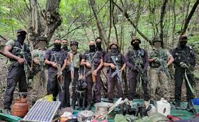 ಜಮ್ಮು & ಕಾಶ್ಮೀರದ ಭಲಾರಾ ಅರಣ್ಯ ಪ್ರದೇಶದಲ್ಲಿ ಭರ್ಜರಿ ಕಾರ್ಯಾಚರಣೆ – ಉ*ಗ್ರ*ರ ಅಡುಗು ತಾಣ ಪತ್ತೆ