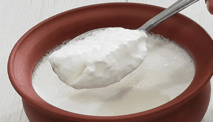 ಮೊಸರನ್ನು ಫ್ರಿಡ್ಜ್‌ನಲ್ಲಿ ಇಡುತ್ತೀರಾ? – ಈ ತಪ್ಪು ಮಾಡಿದ್ರೆ ನಿಮ್ಮ ಆರೋಗ್ಯಕ್ಕೆ ಕುತ್ತು!