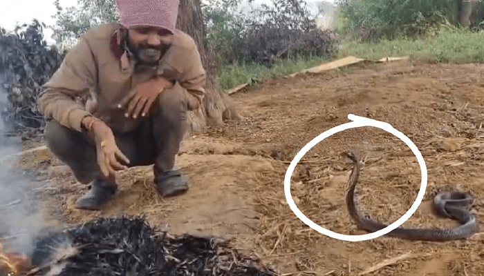 ತುಂಬಾ ಚಳಿ ಇದೆ.. ಚಳಿ ಕಾಯಿಸ್ಕೋ..  – ಅಬ್ಬಬ್ಬಾ.. ಹಾವಿನ ಜೊತೆ ಕುಳಿತು ಟೈಂ‌ ಪಾಸ್ ಮಾಡಿದ ವ್ಯಕ್ತಿ!