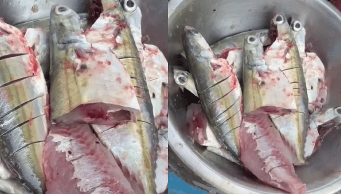 ಕತ್ತರಿಸಿ ಕ್ಲೀನ್‌ ಮಾಡಿದ್ರೂ ಸಾಯದ ಮೀನು! – ತಟ್ಟೆಯಲ್ಲೇ ಒದ್ದಾಡುತ್ತಿದೆ ಬಂಗುಡೆ!