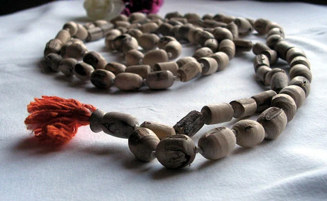 ತುಳಸಿ ಮಾಲೆ ಧರಿಸುತ್ತೀರಾ? – ಈ ನಿಯಮ ಪಾಲನೆ ಮಾಡದಿದ್ದರೇ ಲಾಭಕ್ಕಿಂತ ನಷ್ಟವೇ ಹೆಚ್ಚು!