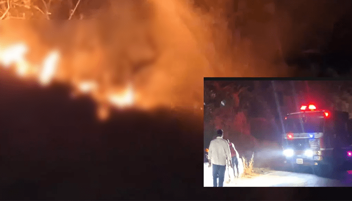 ಚಾರ್ಮಾಡಿ ಘಾಟಿ ಅರಣ್ಯದಲ್ಲಿ ಕಾಳ್ಗಿಚ್ಚು – ಪಶ್ಚಿಮ ಘಟ್ಟಗಳ ಸೂಕ್ಷ್ಮ ಹುಲ್ಲುಗಾವಲು ಭಸ್ಮ