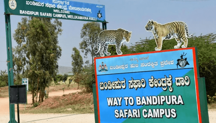 ನಾಗರಹೊಳೆ, ಬಂಡೀಪುರದಲ್ಲಿ ಸಫಾರಿಗೆ ಸರ್ಕಾರದಿಂದ ಗ್ರೀನ್‌ ಸಿಗ್ನಲ್!‌ – ಹೋರಾಟದ ಎಚ್ಚರಿಕೆ ಕೊಟ್ಟ ರೈತರು