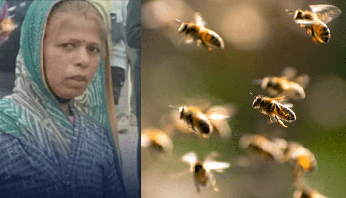 ನೂರಾರು ಜೇನುನೊಣ ಕಚ್ಚಿದ್ರೂ 20 ಮಕ್ಕಳನ್ನು ರಕ್ಷಿಸಿದ ಮಹಿಳೆ! – ಬದುಕುಳಿಯಲೇ ಇಲ್ಲ ಮಹಾತಾಯಿ!